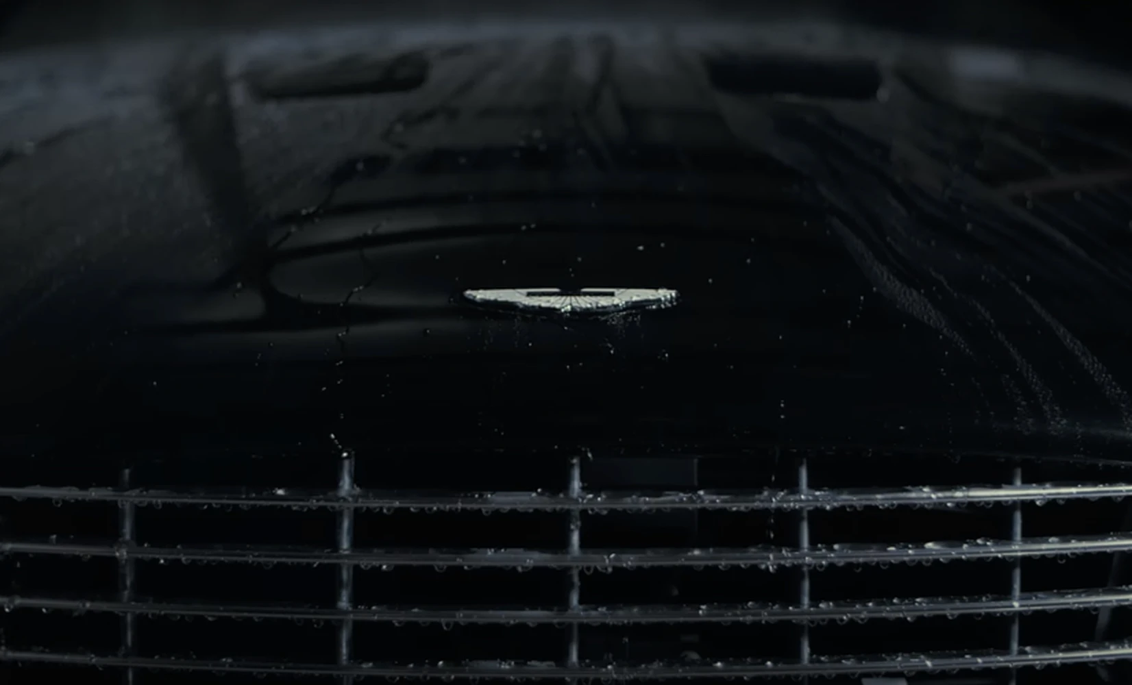 Water beading on a freshly coated front grille